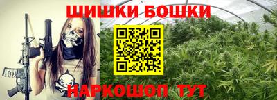 таблы Сланцы