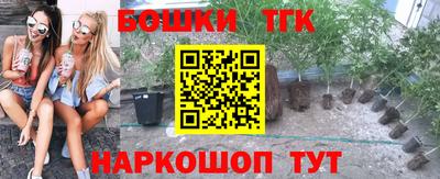 таблы Сланцы