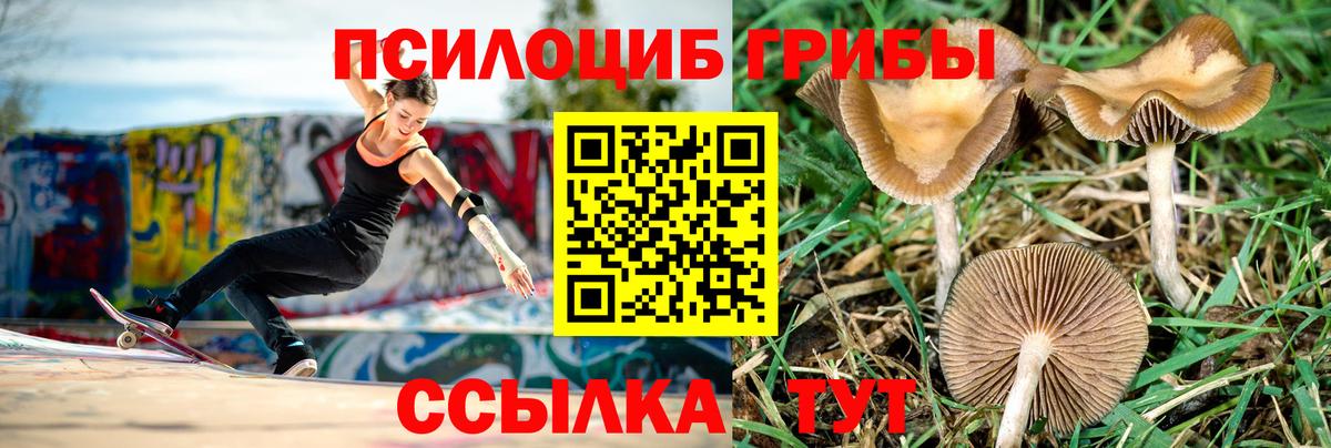Новый Уренгой  даркнет сайт  Вход с VPN  Галлюциногенные грибы Magic Shrooms 