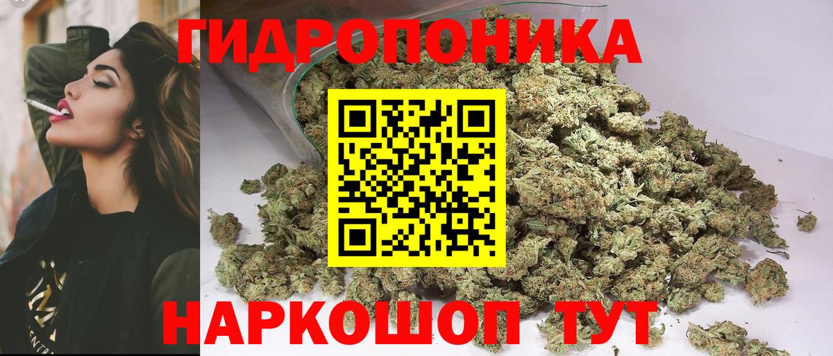 Марихуана Amnesia  Канабис Bruce Banner  Новый Уренгой  Канабис планчик  Вход с VPN  Бошки марихуана конопля 